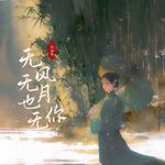无风无月也无你专辑