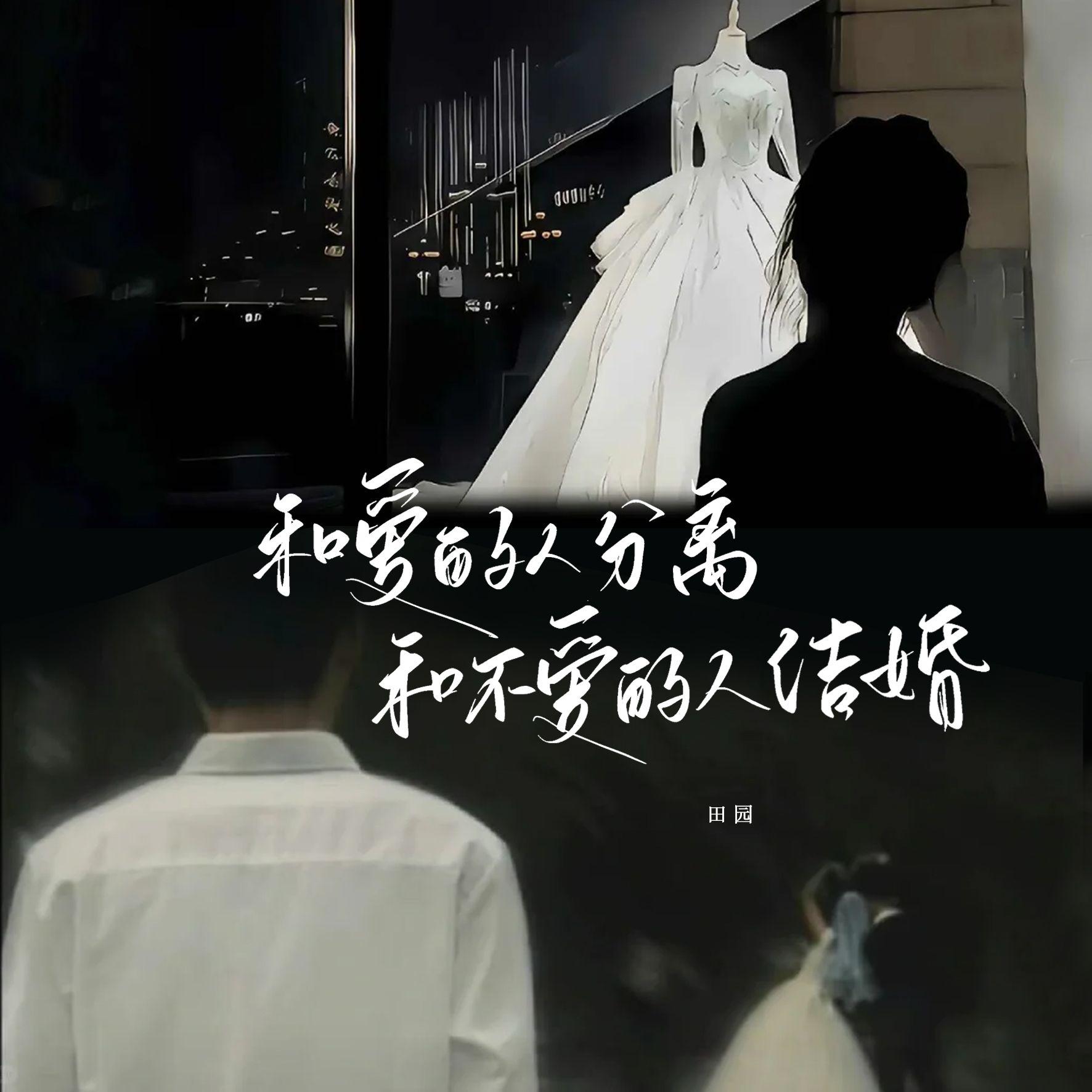 田园歌曲封面