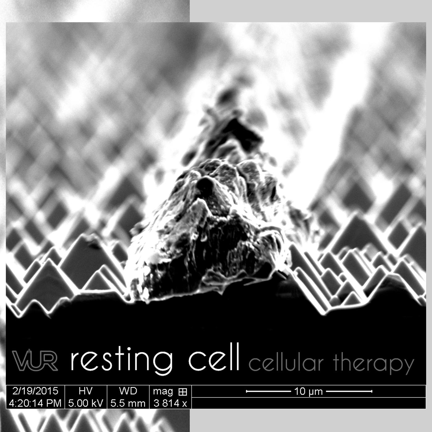 Cellular Therapy