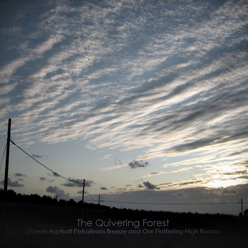 The quivering forest - Ocean asphalt petroleum breeze and our fluttering high beams