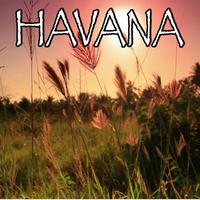 Havana - Camila Cabello and Young Thug  (unofficial Instrumental)