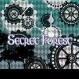 Secret Forest