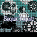 Secret Forest专辑