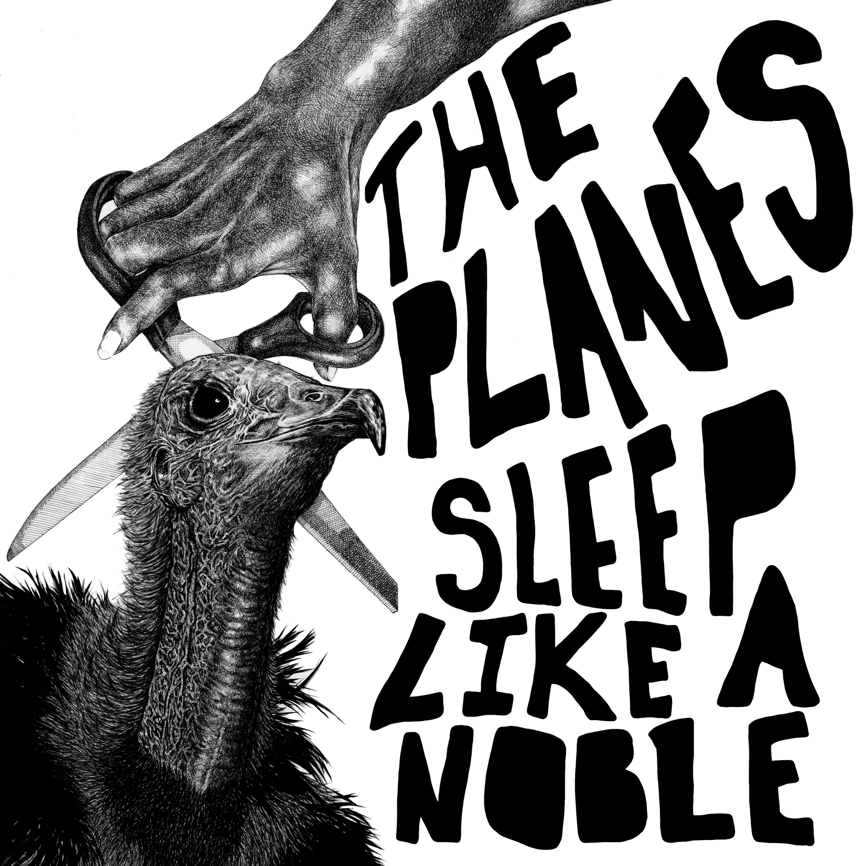 Sleep Like a Noble