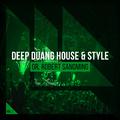 Deep Hard House & Style