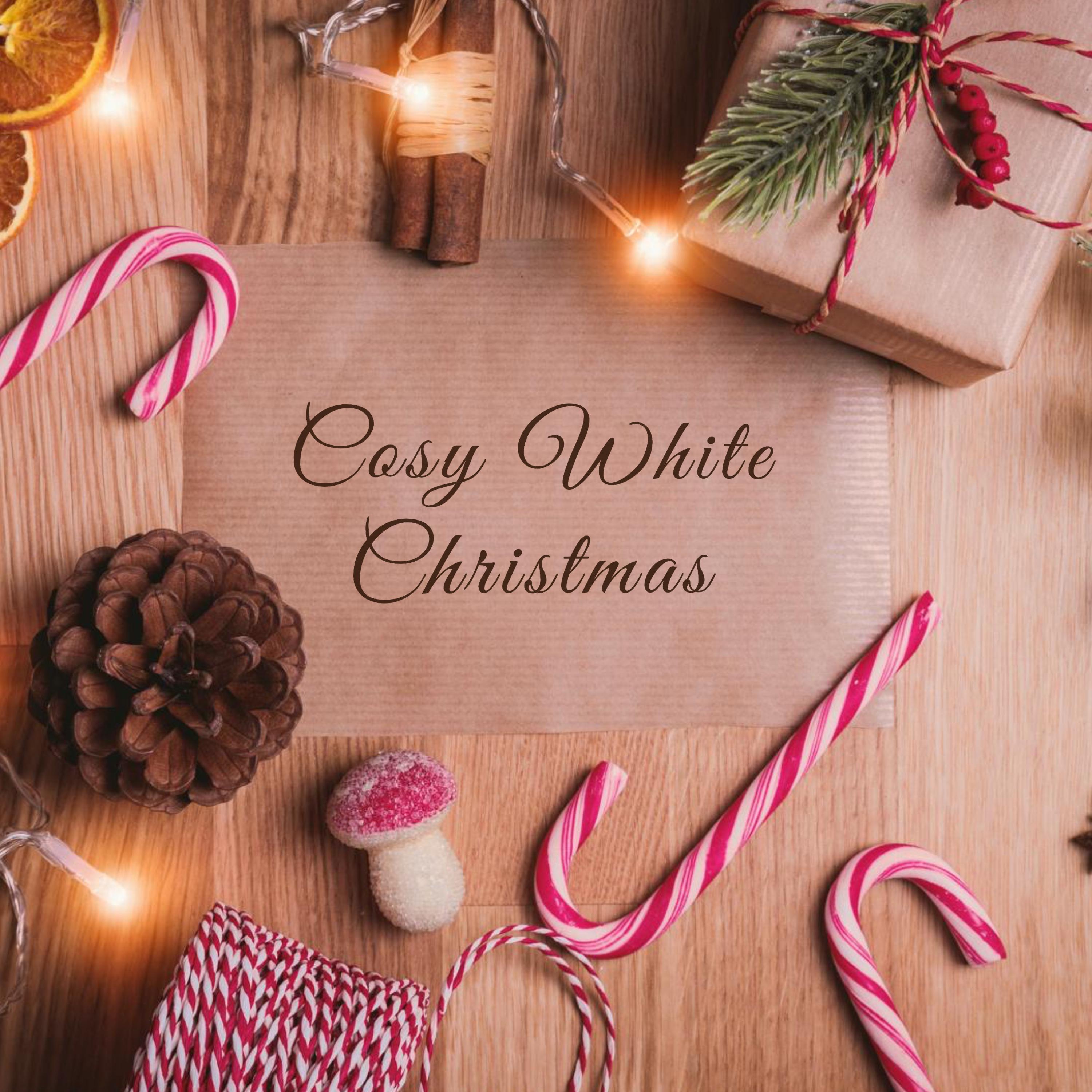 Dannii Murphy - Cosy White Christmas