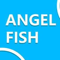 エンゼルフィッシュ、Angelfish