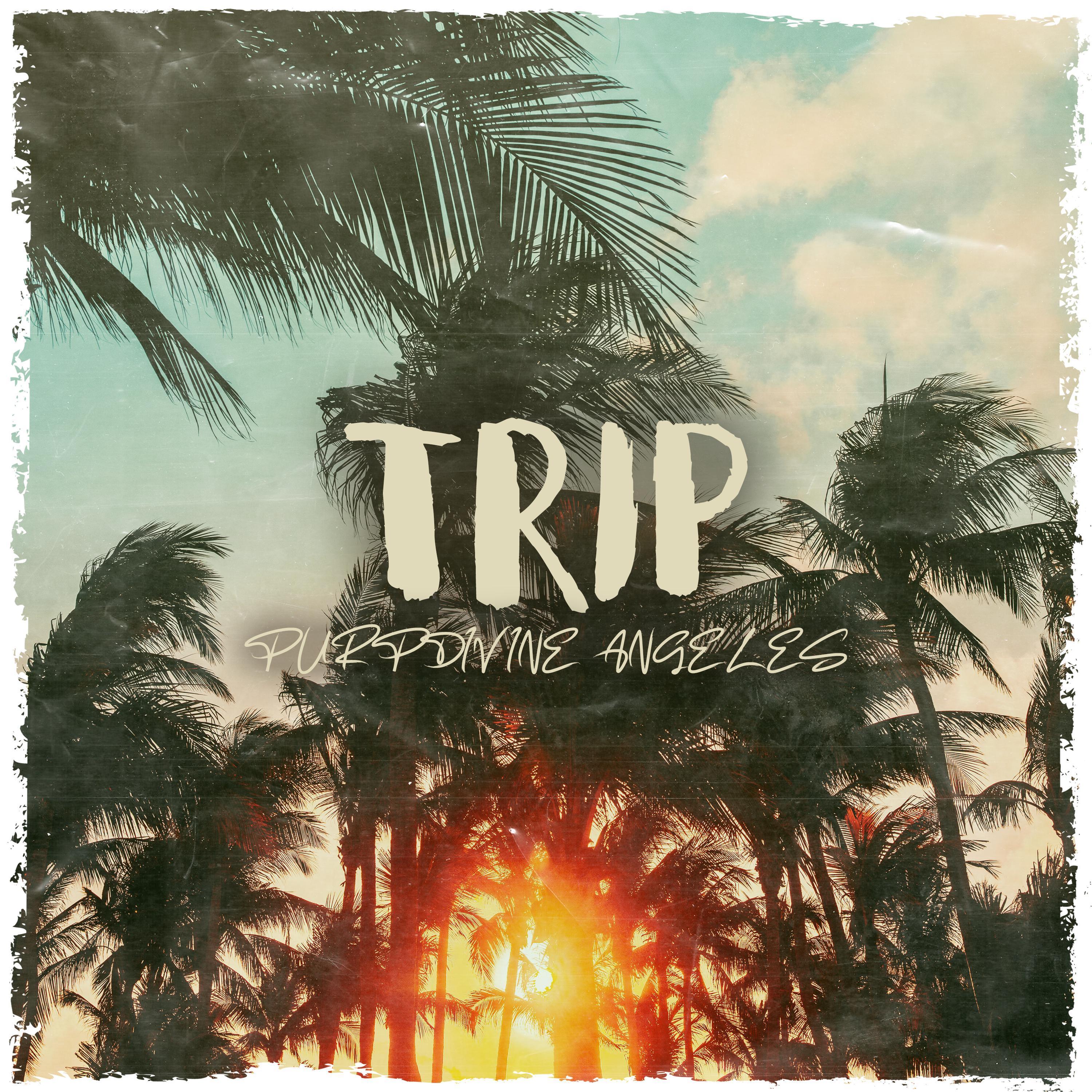 TRIP (feat. Angeles)