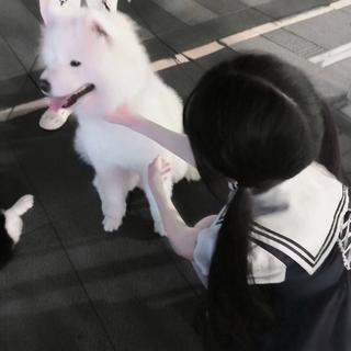 你对我恶语相向的时候 我愣住了 但也认了