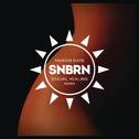 Sexual Healing (SNBRN Radio Remix)专辑