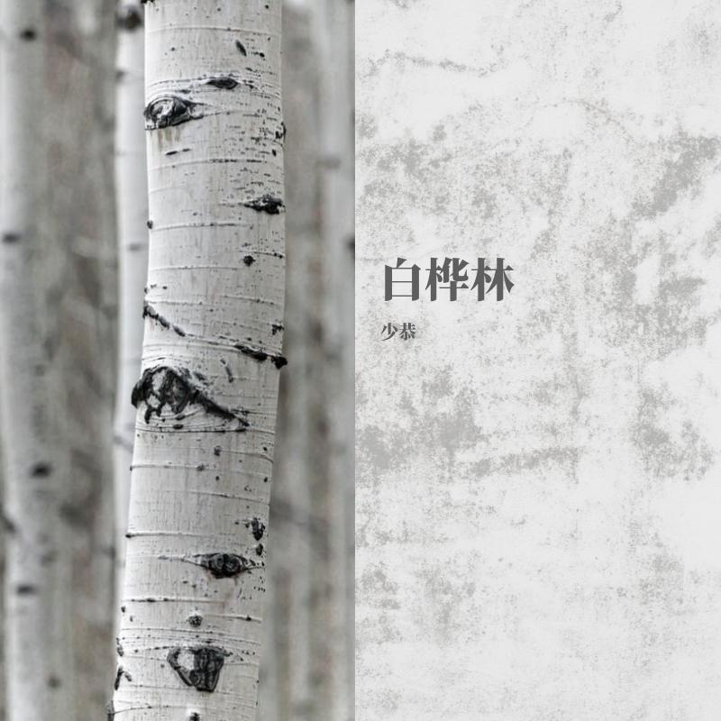 白桦林