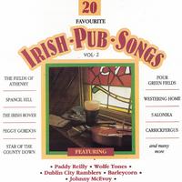Dubliners - The Fields Of Athenry (karaoke Version)