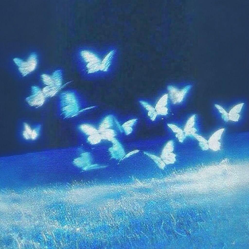Butterfly's Heart专辑