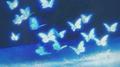 Butterfly's Heart专辑