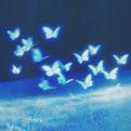 Butterfly's Heart专辑