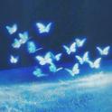 Butterfly's Heart专辑