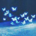 Butterfly's Heart
