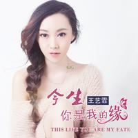 王艺霏 - 今生你是我的缘(原版立体声伴奏)