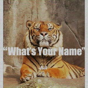 What's Your Name （精消）