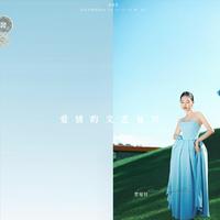 二黑-爱情的故事伴奏