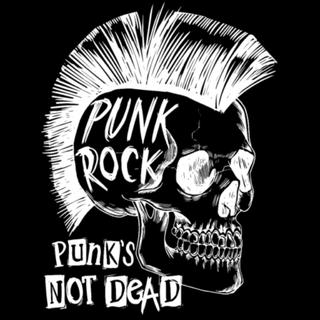 你真punk | 直白的颅内造反运动
