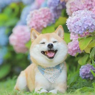 春日热望丨阳光和你都在我的耳机里