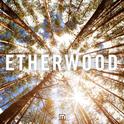 Etherwood专辑