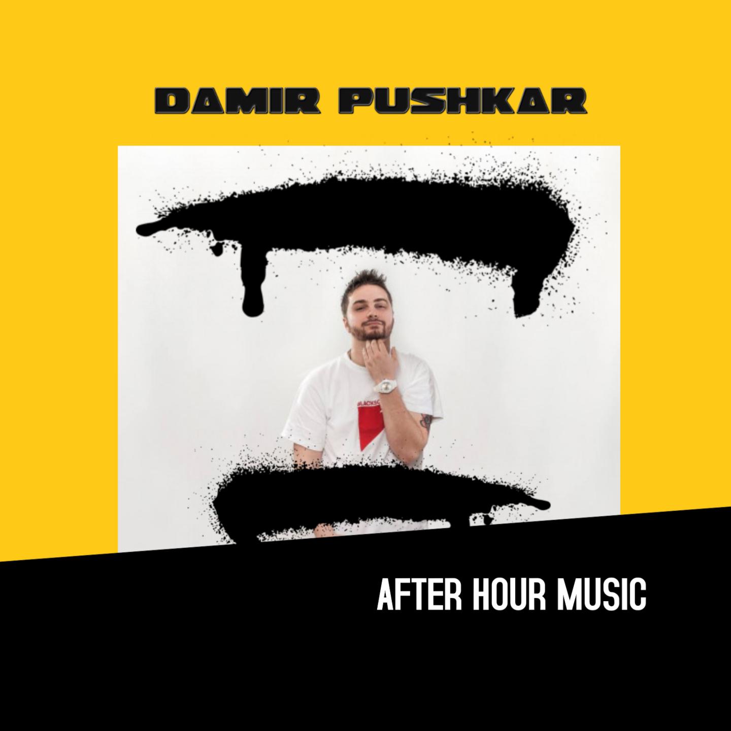 Damir Pushkar - Very Disco