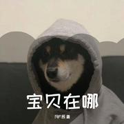 宝贝在哪（prod by xiangyue）