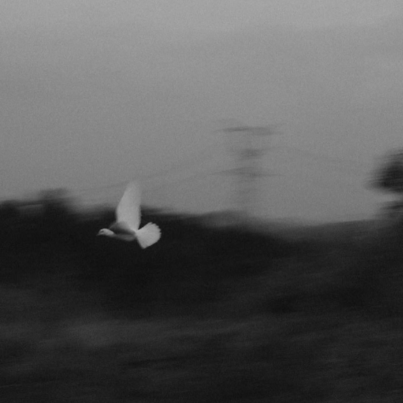 执迷不悟 小乐哥（王唯乐）