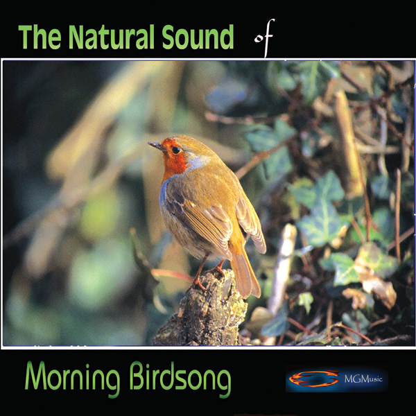 The Natural Sound Of Morning Birdsong专辑