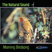 The Natural Sound Of Morning Birdsong
