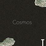 Cosmos专辑