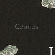 Cosmos