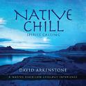 Native Chill: Spirits Calling a Native American专辑