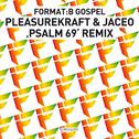 Gospel (Pleasurekraft & Jaceo Psalm 69 Remix)专辑