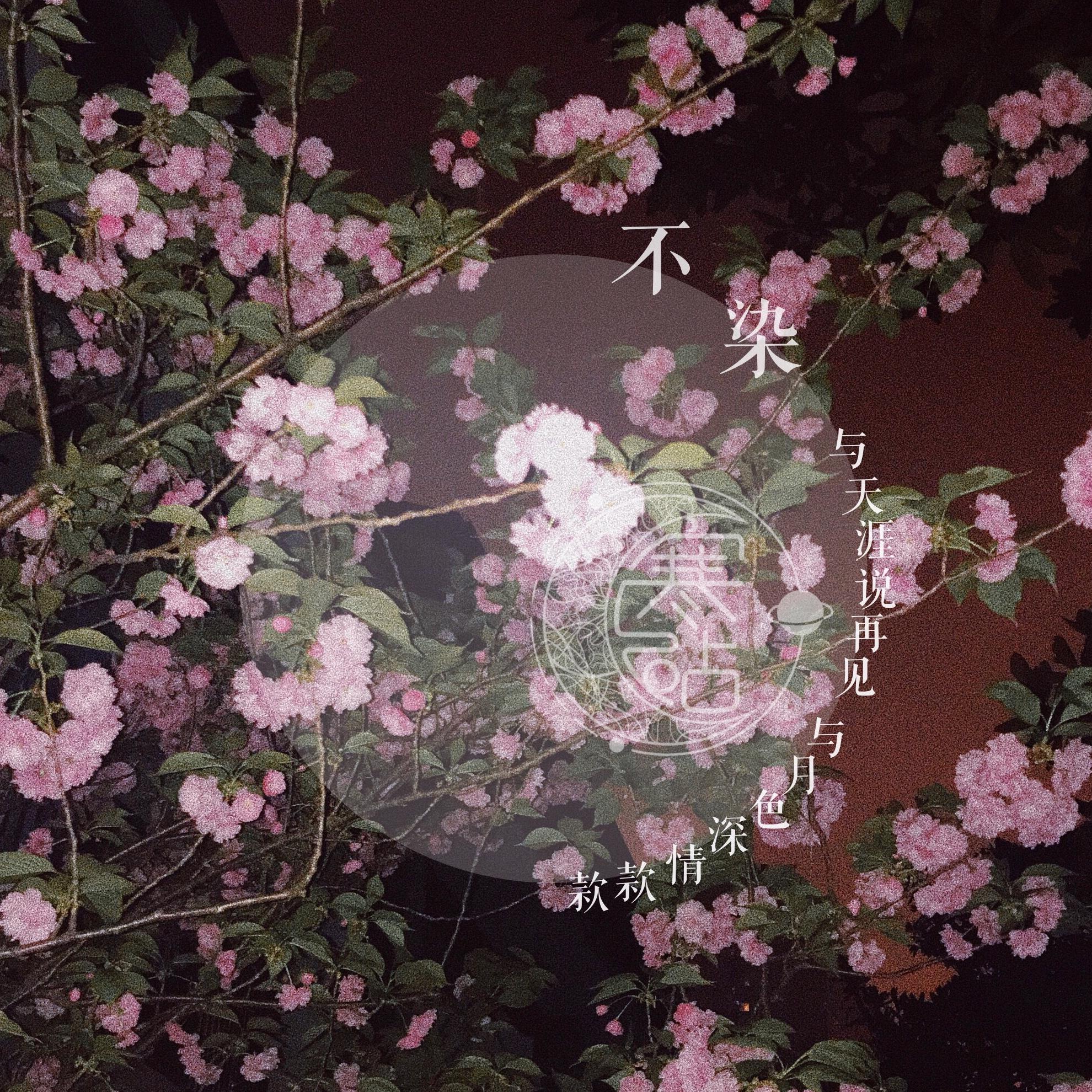 不染专辑