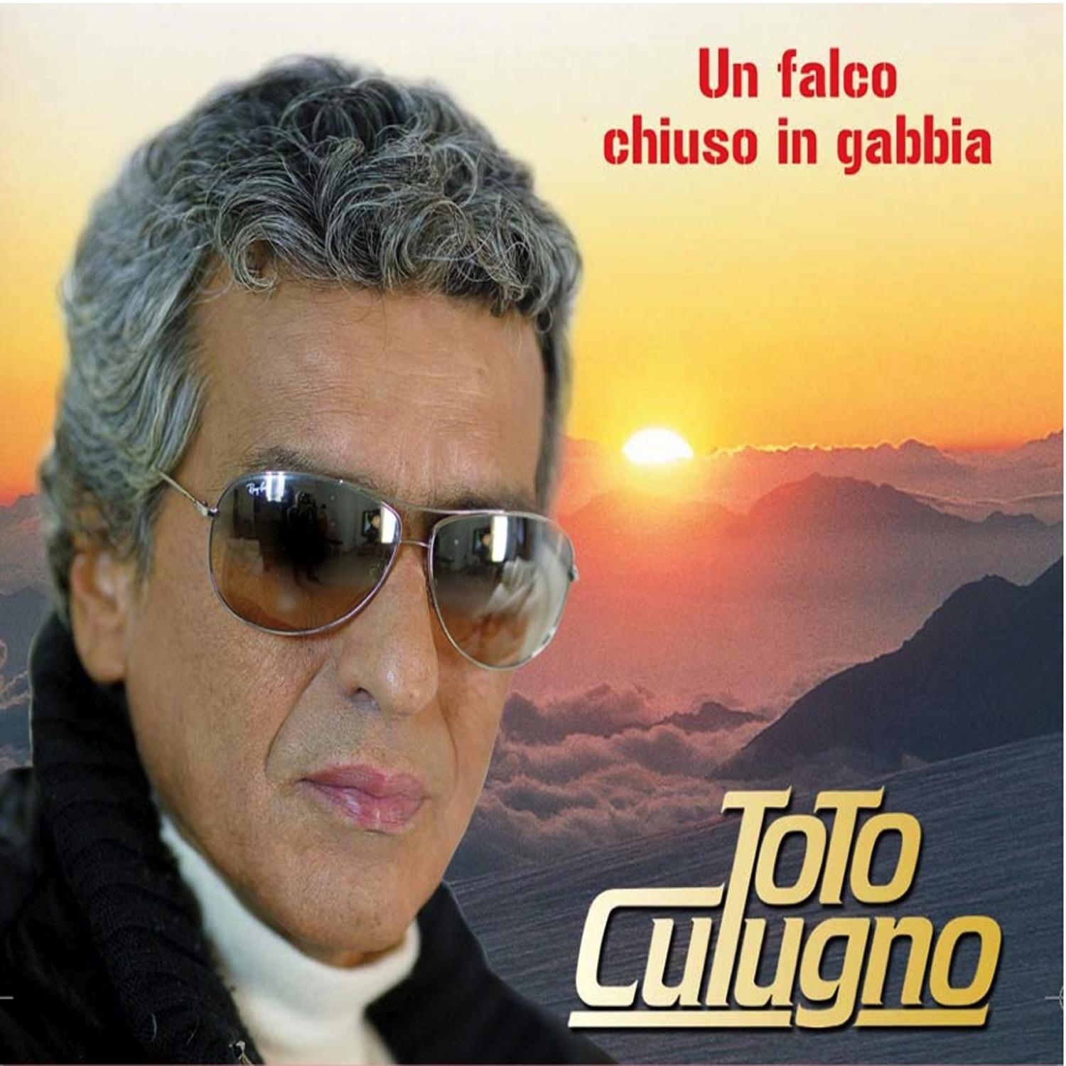 Un falco chiuso in gabbia