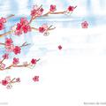 《樱花`愫》