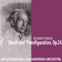 Strauss: Death and Transfiguration, Salome专辑