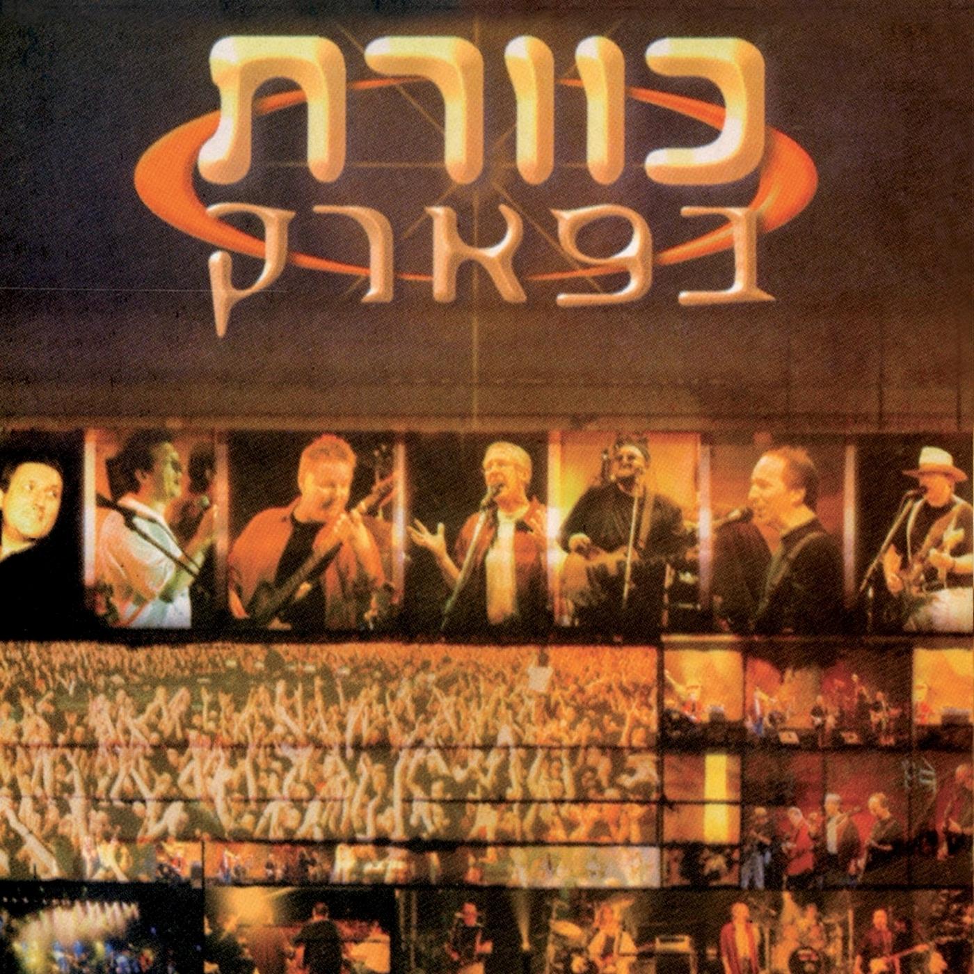 כוורת בפארק (Live)