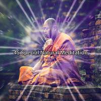 45 特殊的自然冥想 (2022 这种方式是对角线记录)