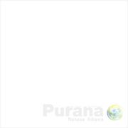 Purana