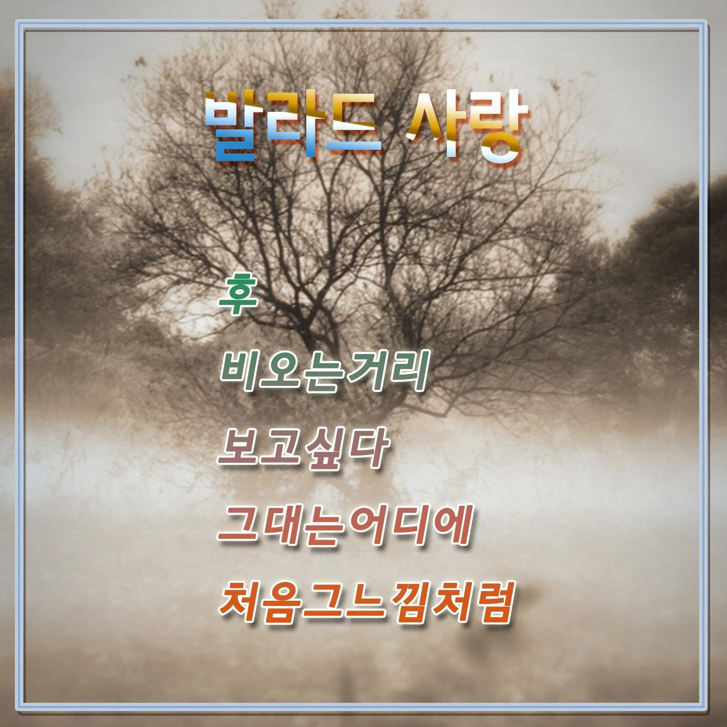 발라드 사랑