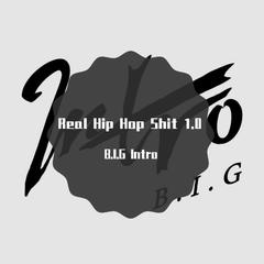 Real Hip Hop Shit 1.0