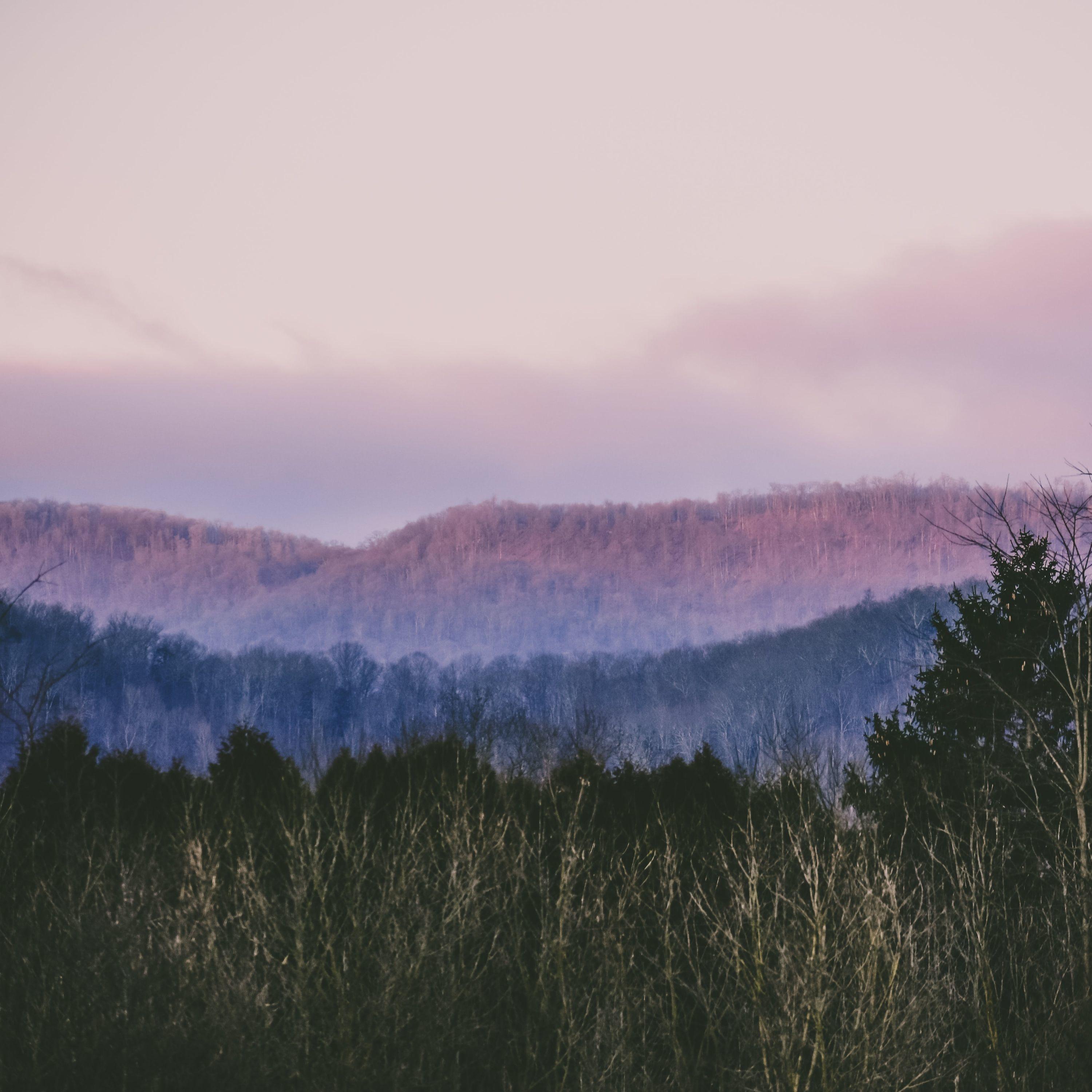 Calm & Soft Melodies | Chilling Out & Chilling Out