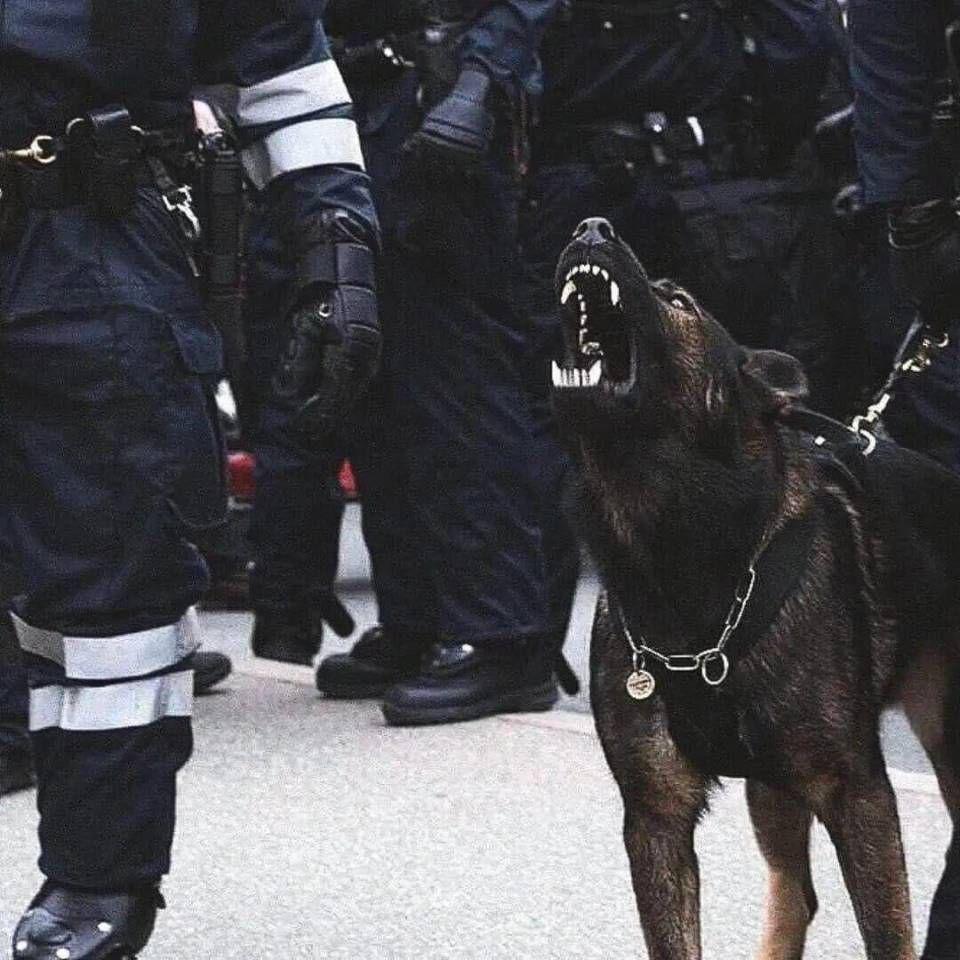 NYPD ESU