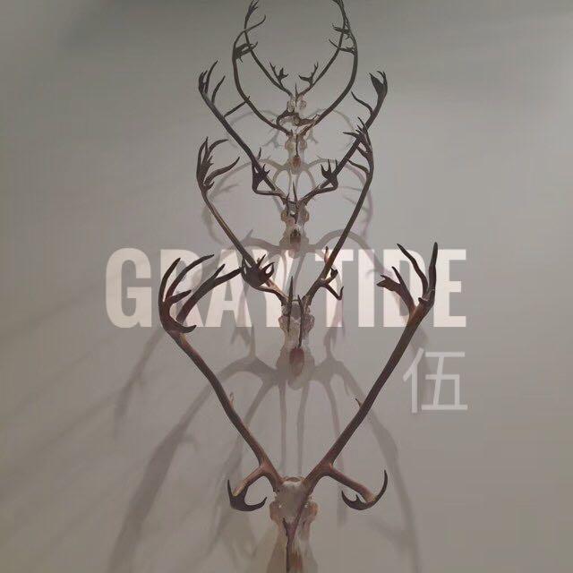 GrayTide Ⅴ专辑