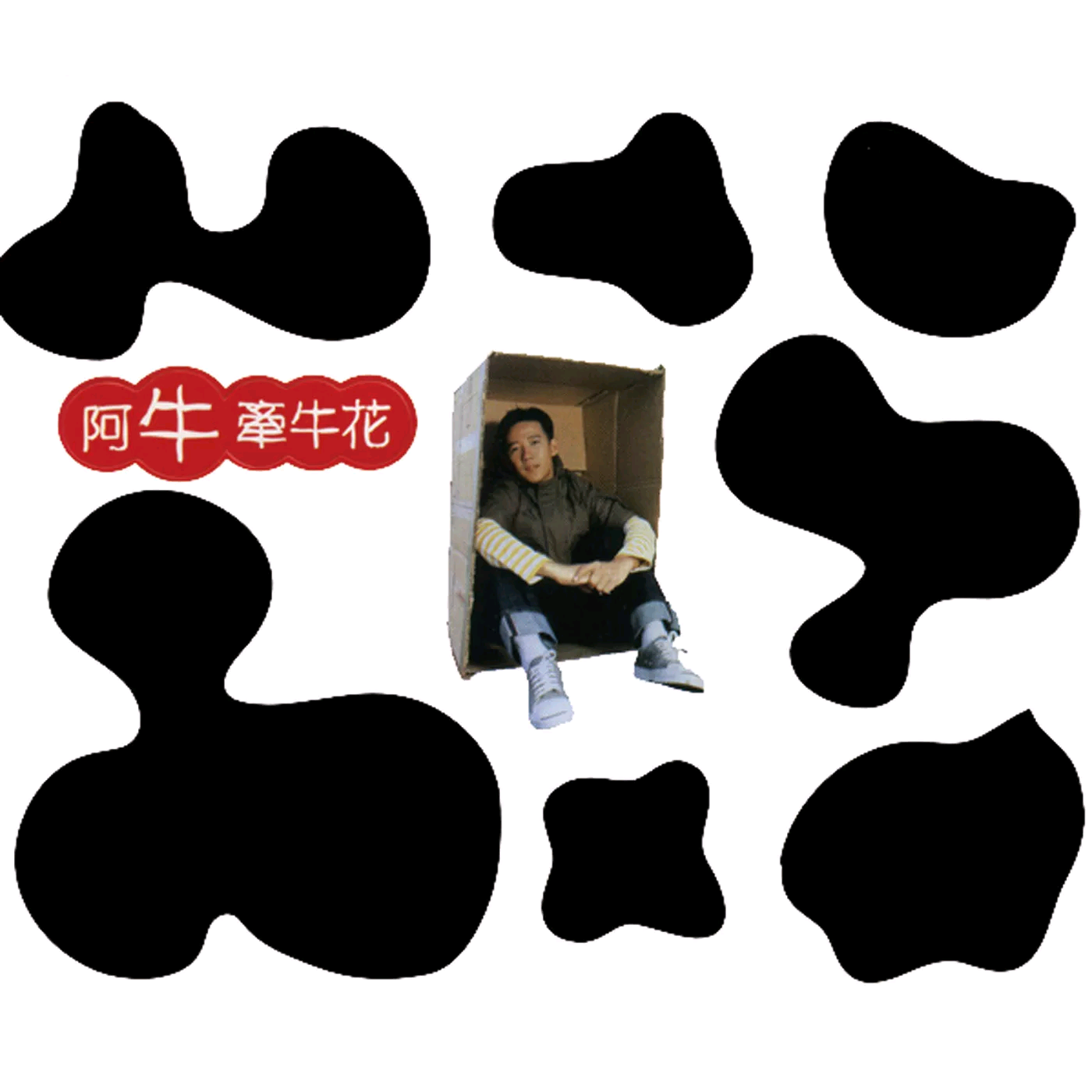 牵牛花
