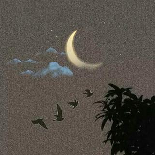 星星✨不及你万分之一